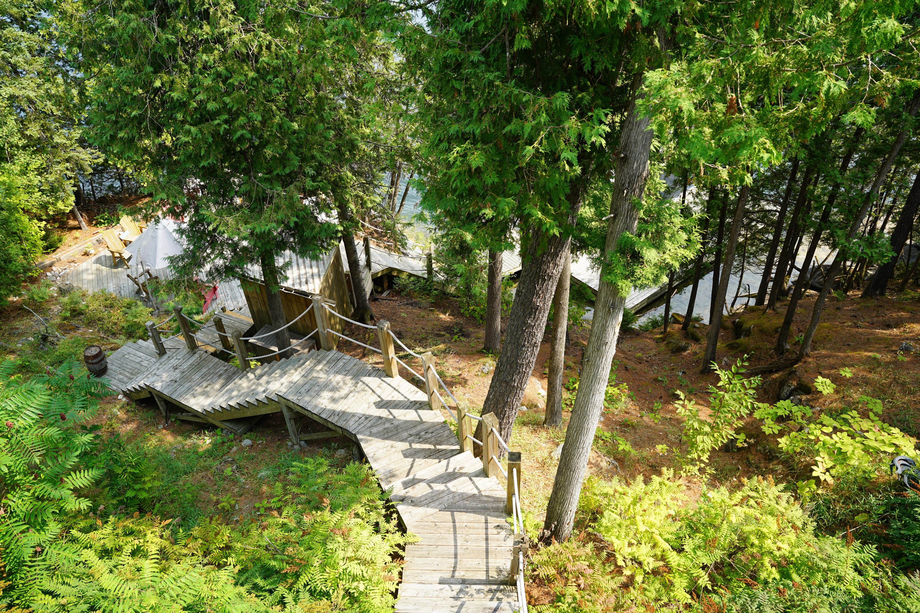 Woodland path in soft natural light